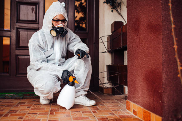 Reliable Cockroach Control contractor in Montgomery, AL by Nex Pest Control