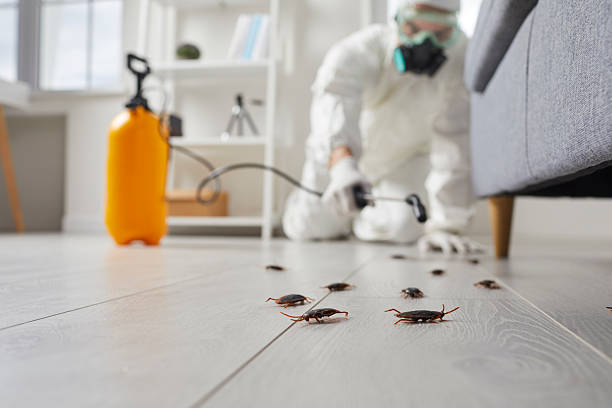 Trusted Rodent Control service in Montgomery, AL - Nex Pest Control